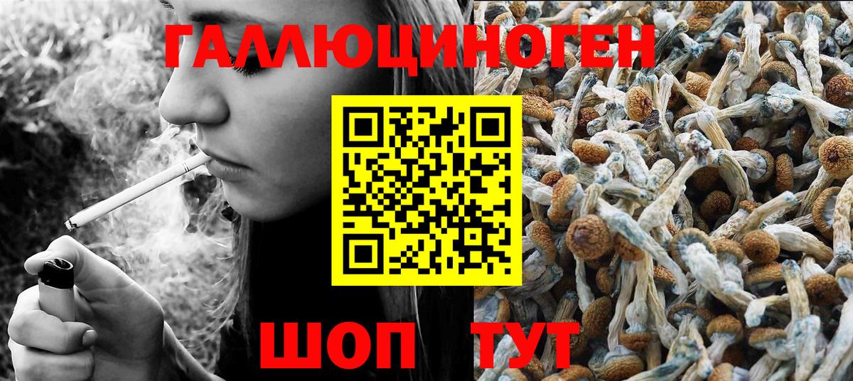 Галлюциногенные грибы ЛСД  где купить наркотик  Вход с VPN  Россошь  Галлюциногенные грибы MAGIC MUSHROOMS 